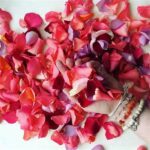 Best Methods For Drying Roses