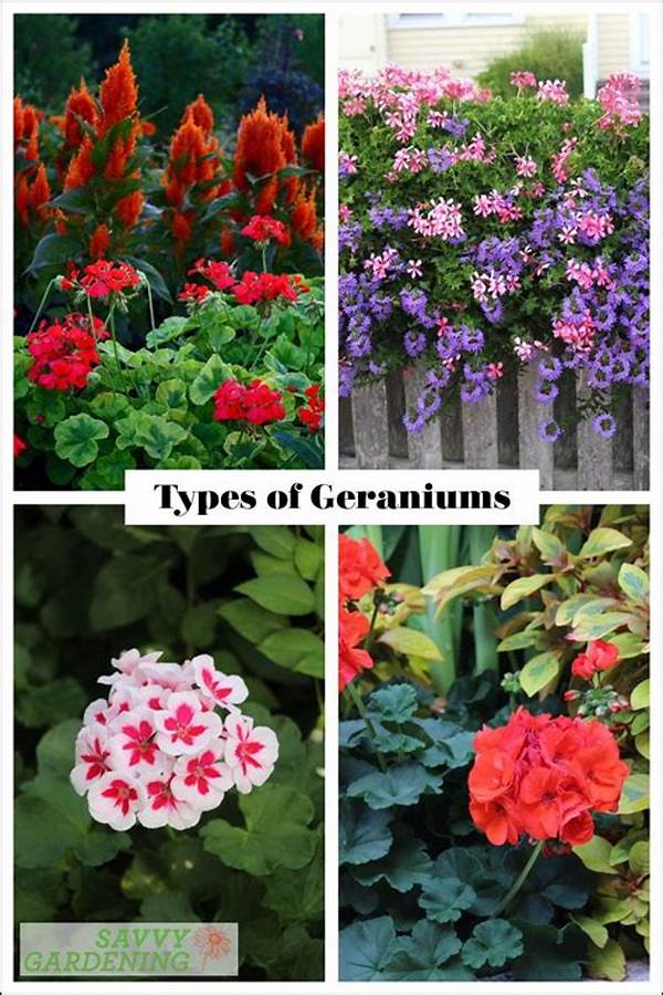 Choosing Scented Perennials For Backyard
