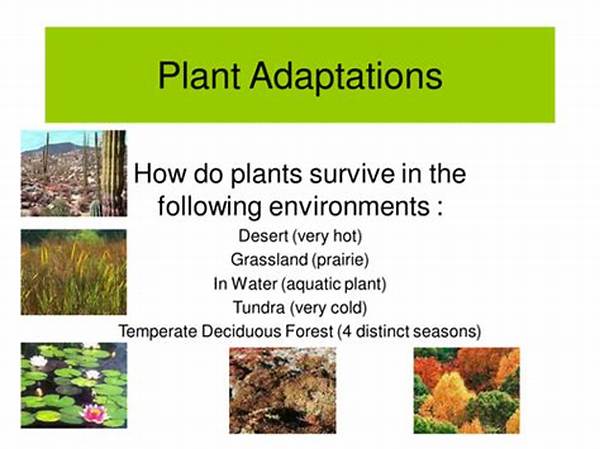Climate Adaptation Of Native Flowers