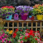 Colorful Plants For Children’s Gardens