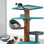 Designing A Garden With Cats In Mind