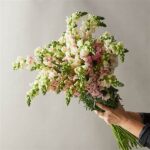 Designing Safe Floral Centerpieces Pets