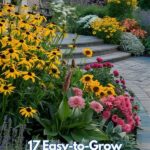 Easy Perennial Flowers For Beginners