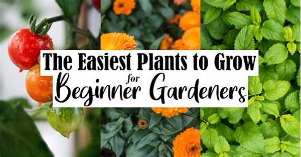 Easy-to-grow Plants For Novice Gardeners