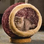 Eco-friendly Cat House Concepts