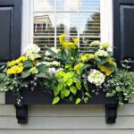 Eco-friendly Flower Box Options
