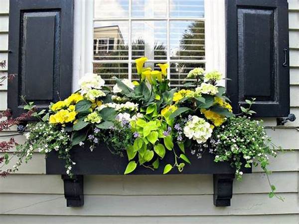 Eco-friendly Flower Box Options