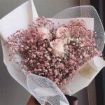 Economical Internet-based Flower Shops