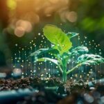 Enhancing Plant Growth With Light