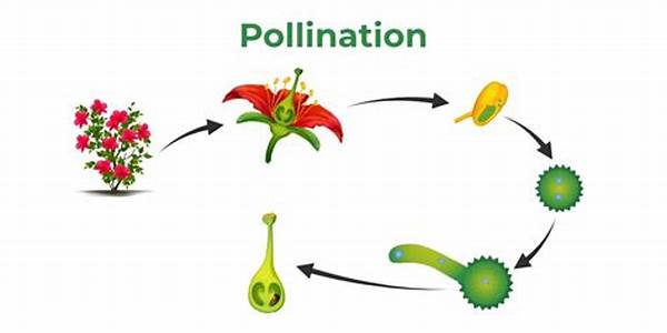 Environmental Impacts Of Flower Fertilization