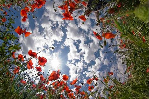 Flower Photography Composition Tips