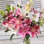 Fragrant Flowers For Bouquets