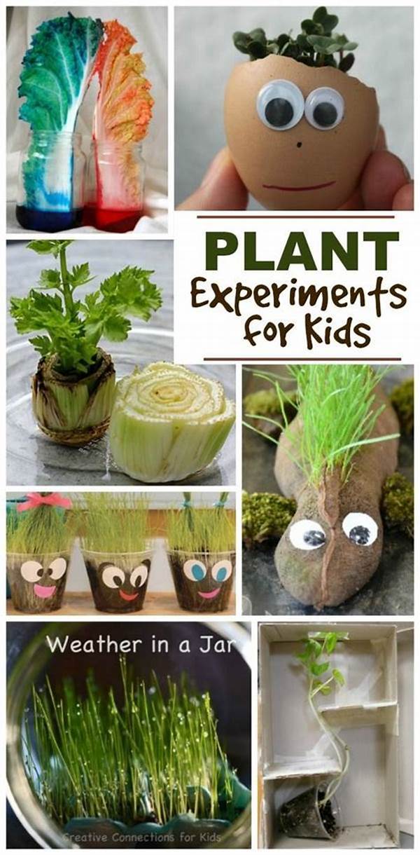 Fun Plant Experiments Kids