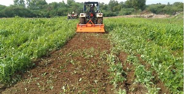 “green Manure Improvement Techniques”
