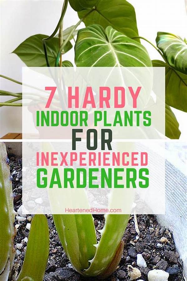 Hardy Flowers For Inexperienced Gardeners