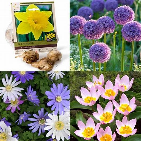 Hardy Spring Flower Options