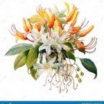 Historical Symbolism In Bouquet Art