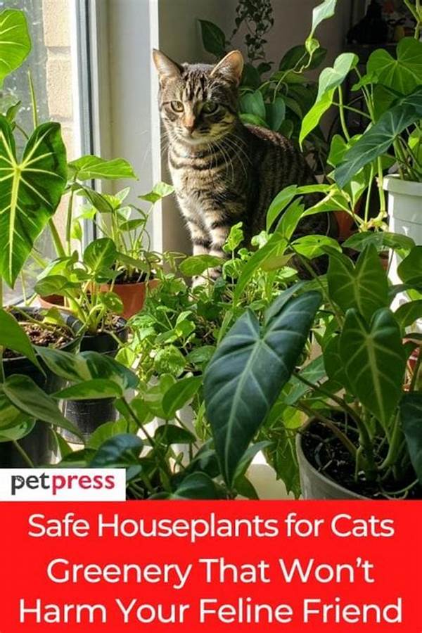 Houseplants That Cats Won’t Harm