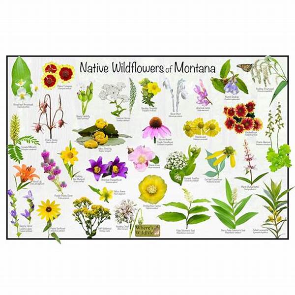 Identification Of Native Wildflowers
