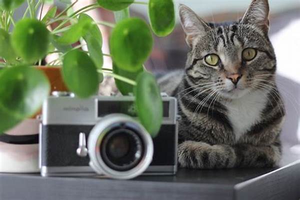 Indoor Flora Cat Safe Options