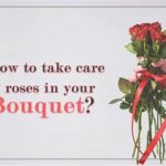 Long-lasting Bouquet Care Secrets
