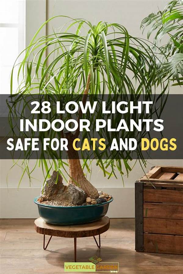 Low-light Pet-safe Indoor Plants