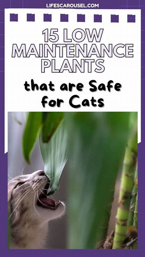 Low-maintenance Plants Cat Safe