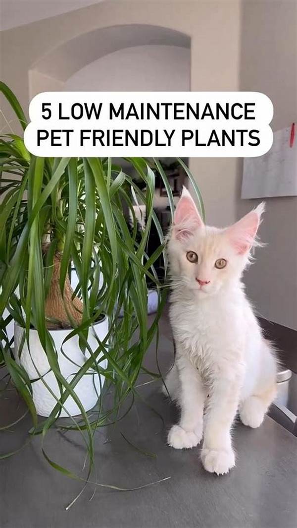 Low-maintenance Plants Pet-friendly