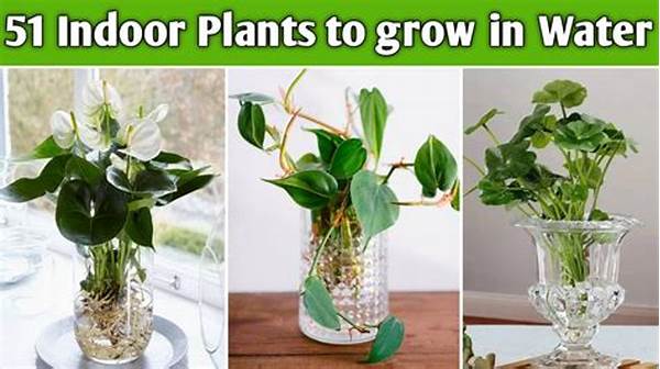 Low-water Indoor Plant Options