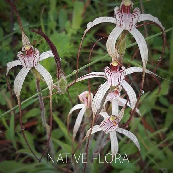 Native Flora And Fauna Relationships