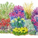 No-fuss Outdoor Plants Tips