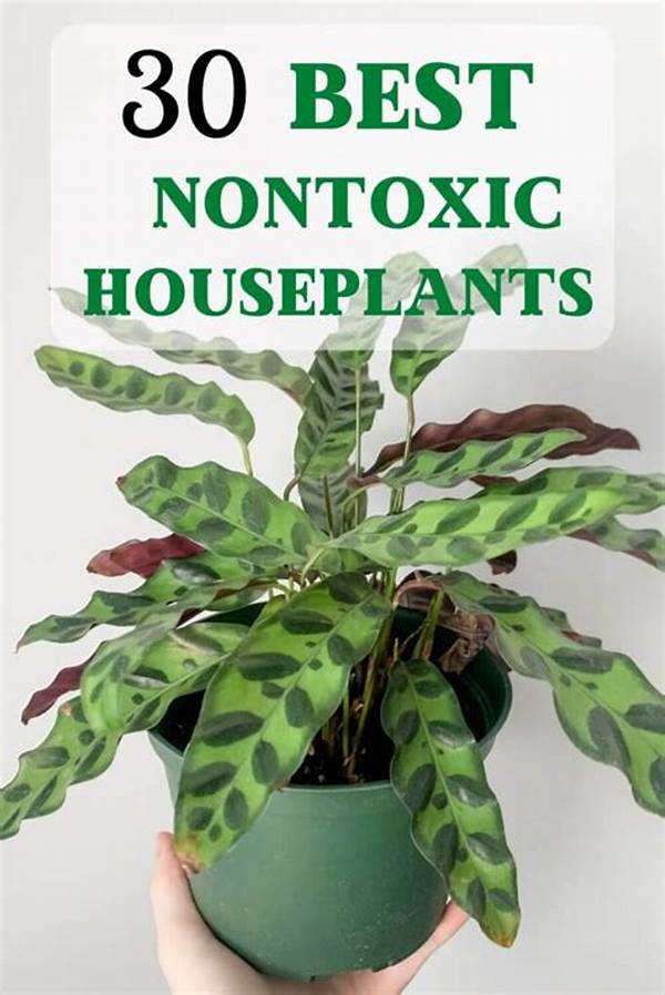 Non-toxic Plants For Home Gardens