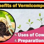 “nutrient-rich Animal Manure Usage”