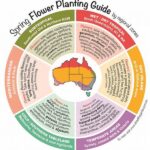 Optimal Regional Gardening Flowers