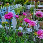 Pest Control For Summer Flower Gardens