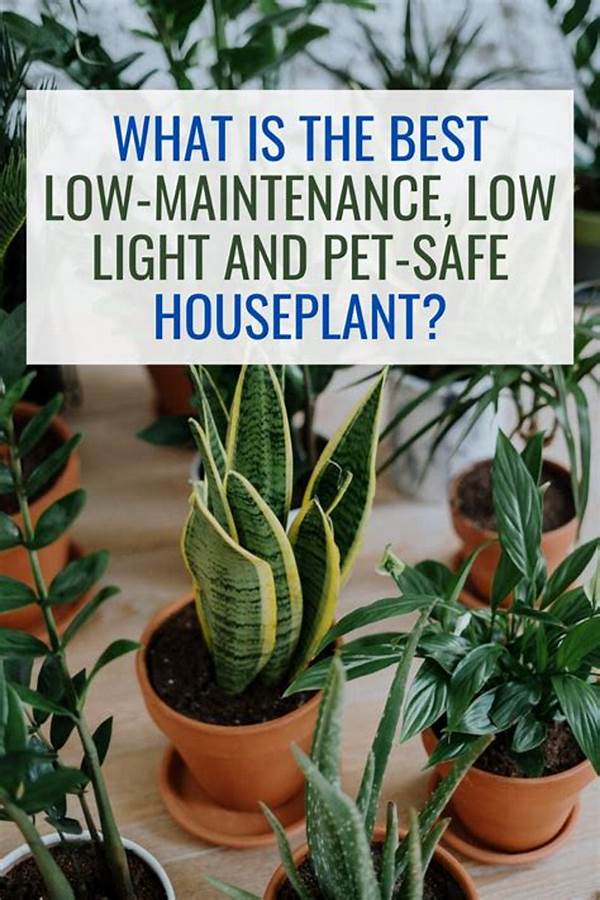 Pet-safe Low-maintenance Houseplants