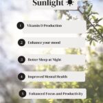 Plant Health And Sunlight Exposure