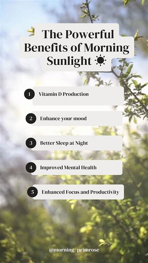 Plant Health And Sunlight Exposure
