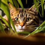 Plants Safe For Curious Pets