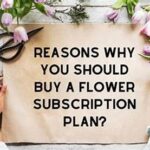 Pocket-friendly Flower Subscription Plan