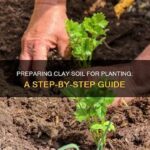 Preparing Clay Soil For Flower Planting