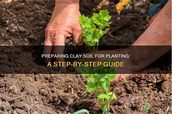 Preparing Clay Soil For Flower Planting