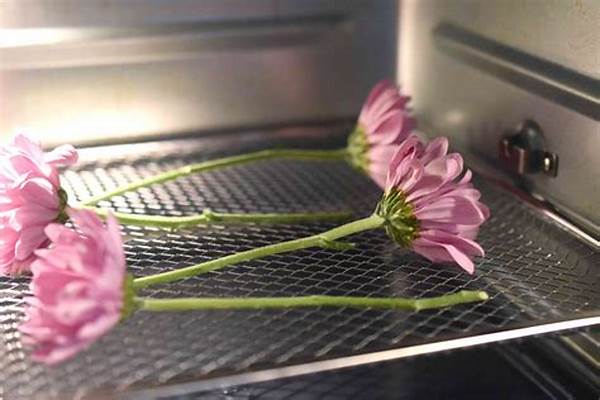 Preserve Flowers In Room Temperature