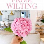 Prevent Wilting In Flower Arrangements