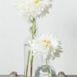 Prolonging Flower Freshness In Vase