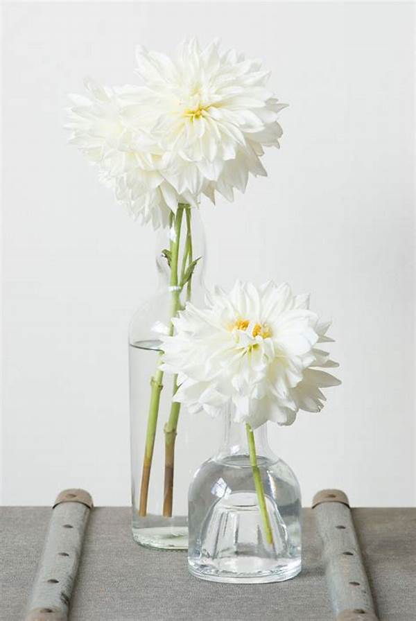 Prolonging Flower Freshness In Vase