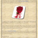 Quality Flowers At Reasonable Prices