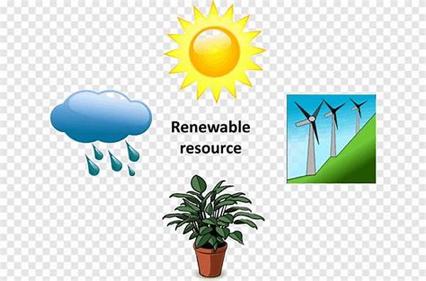 Renewable Resources In Floral Arts