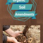 Soil Amendment Strategies For Flowers