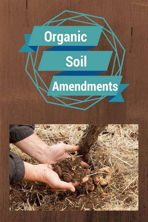 Soil Amendment Strategies For Flowers